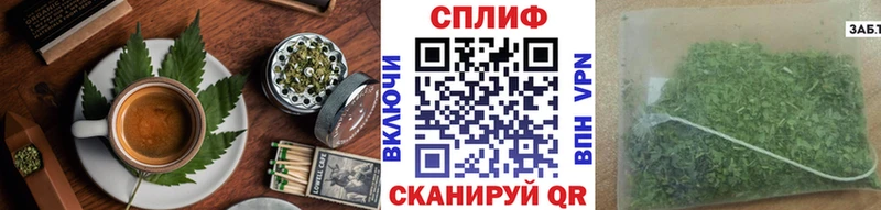 где продают наркотики  Гаджиево  Еда ТГК марихуана 
