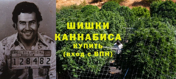 шишки Аркадак