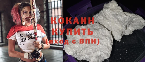 шишки Аркадак