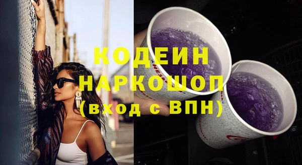 шишки Аркадак