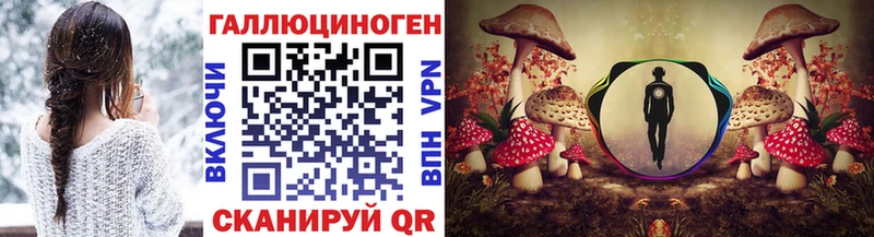 Галлюциногенные грибы Psilocybe  MEGA сайт  Гаджиево  цена  